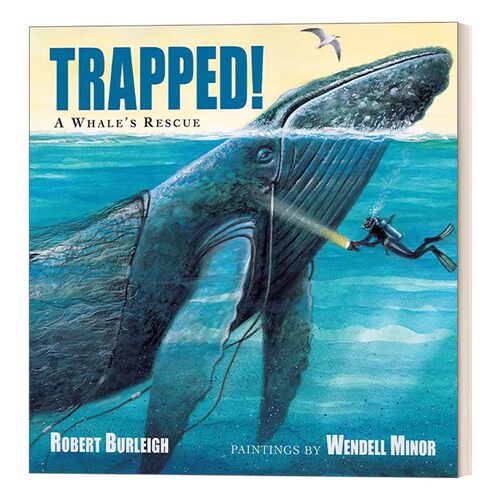 进口原版 英文原版 Trapped A Whale's Rescue 解救座头鲸 4-6岁儿童海洋动物保护主题绘本 Robert Burleigh 英文版 进口英语原
