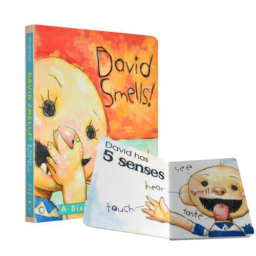 进口原版 *吴敏兰推荐书单 David Smells! 英文原版 大卫不可以系列 学乐 纸板书 大卫·香农David Shannon经典绘本   The Blue Sk