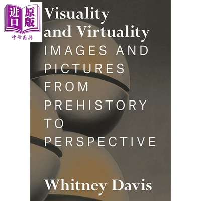 进口原版 *Visuality and Virtuality 进口艺术 可视性与虚拟性：从史前史到展望的图像与图画 Princeton Universit   Princeton U