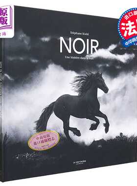 进口原版 *黑色 夜晚历史 Noir 法文原版 Stephane Kiehl 绘本与绘本小说 儿童绘本 动物绘本   MRTNJ