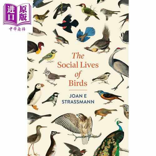 进口原版 *鸟类的社交生活 The Social Lives of Birds 英文原版 Joan E Strassmann 世界各地鸟类故事 科普   Headline publishin