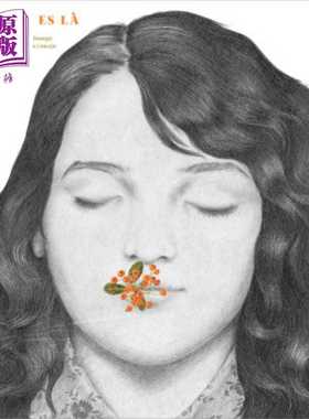 进口原版 *【法文版】你一直在那 Tu es la 法文原版 Joanna Concejo Laetitia Bourget 绘本小说   Grandes Personnes