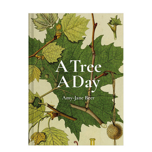 进口原版 *A Tree A Day 进口艺术 每天一树  Amy-Jane/Beer Batsford Ltd