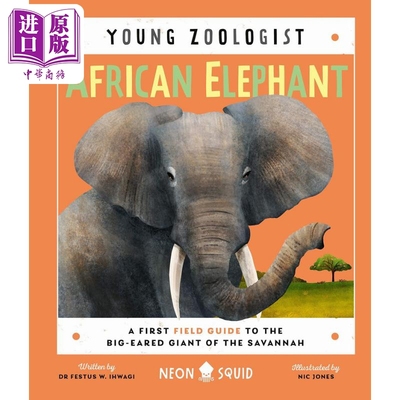 进口原版 *Young Zoologist：African Elephant 小动物家：非洲大象 英文原版进口 儿童百科绘本 动物科普知识图书    NEON SQUID