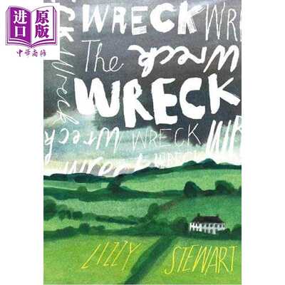 进口原版 *残骸 丽兹 斯图尔特 图画小说 英国插图家 The Wreck 英文原版 Lizzy Stewart   Jonathan Cape