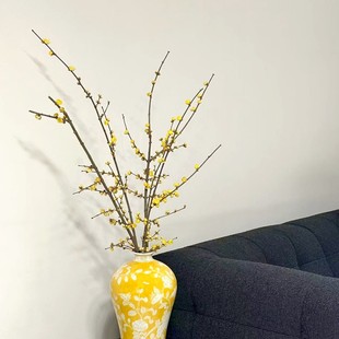 腊梅年宵花木本鲜切枝香味速递枝条家用瓶插华艺江浙沪皖两扎包邮