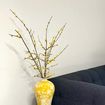 腊梅年宵花香味江浙沪皖两扎包邮