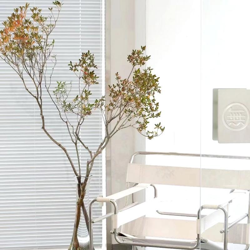 杜鹃鲜花速递江浙沪皖两扎包邮