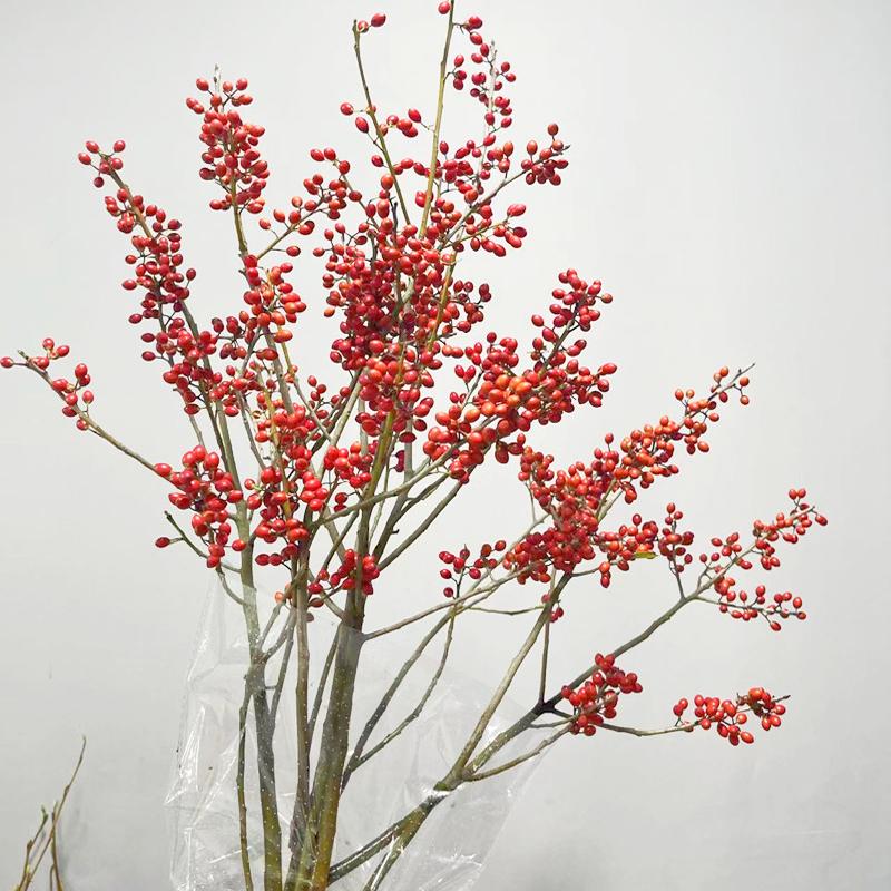 本地冬青红色鲜花速递上海同城家用江浙沪皖两扎包邮年宵红豆木本