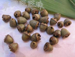 草田DIY配件原籽小金钟散珠菩提子籽种手工珠子种子佛珠搭配热销