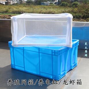 养殖小网箱户外龙虾暂养车载塑料箱养龟缸筛网塑料箱螃蟹笼