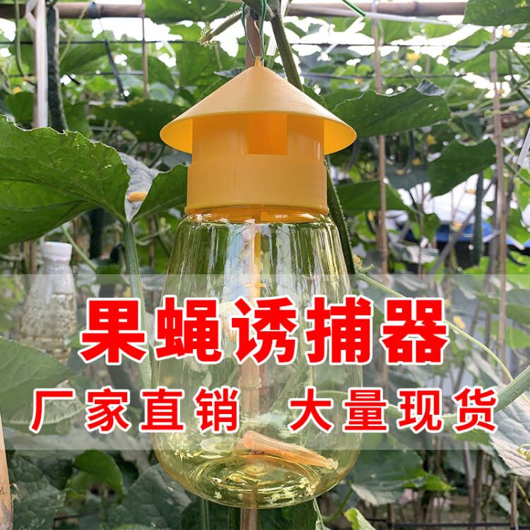 果蝇诱捕器果园菜地瓜果实蝇针蜂瓜蝇引诱剂捕抓器杀虫剂诱蜂神器