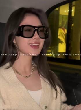 25FW大方框显瘦墨镜太阳镜女