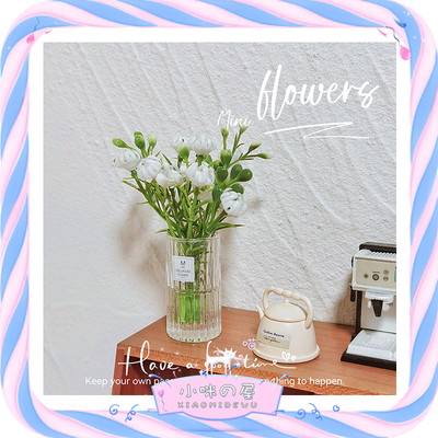 可做车载摆件花盆栽摆件