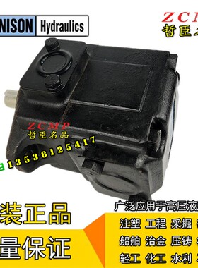 DENISON叶片泵T6D-014/020/024/028/031-1R01/2R01/3R01-A1/B1/C1