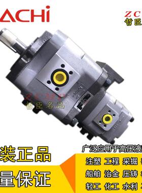 IPH-66A-80/100/125-80/100/125-EE/LE/TL/TT/L/T-11/3868D/3163