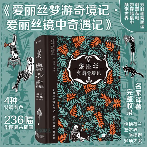 浪花朵朵正版爱丽丝梦游奇境记