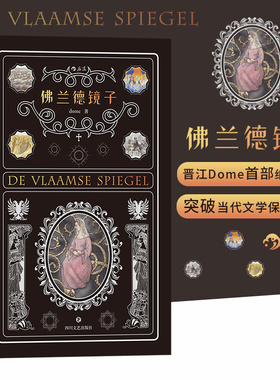 后浪正版现货 佛兰德镜子 晋江dome胡葳纸书力作 当代原创长篇小说文学书籍