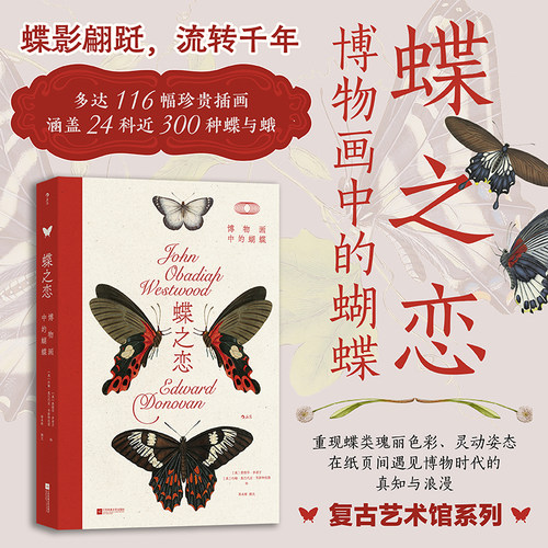 蝶之恋博物画中的蝴蝶后浪