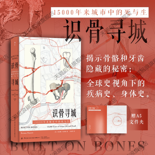 识骨寻城城市中的死与生后浪