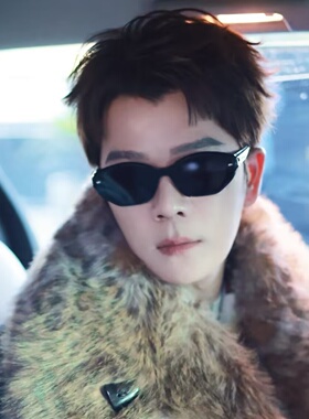 王栎鑫同款墨镜男痞帅复古猫眼高级感2026新款防紫外线太阳眼镜女