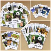 动物单词卡片闪卡英语卡片3岁儿童认知卡幼儿园早教启蒙英文教具