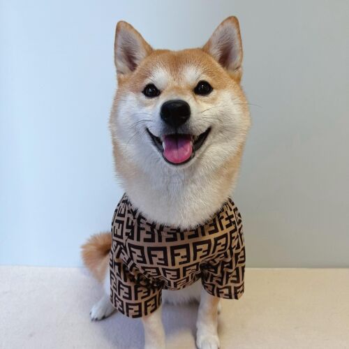 狗狗衣服夏装薄款透气防晒