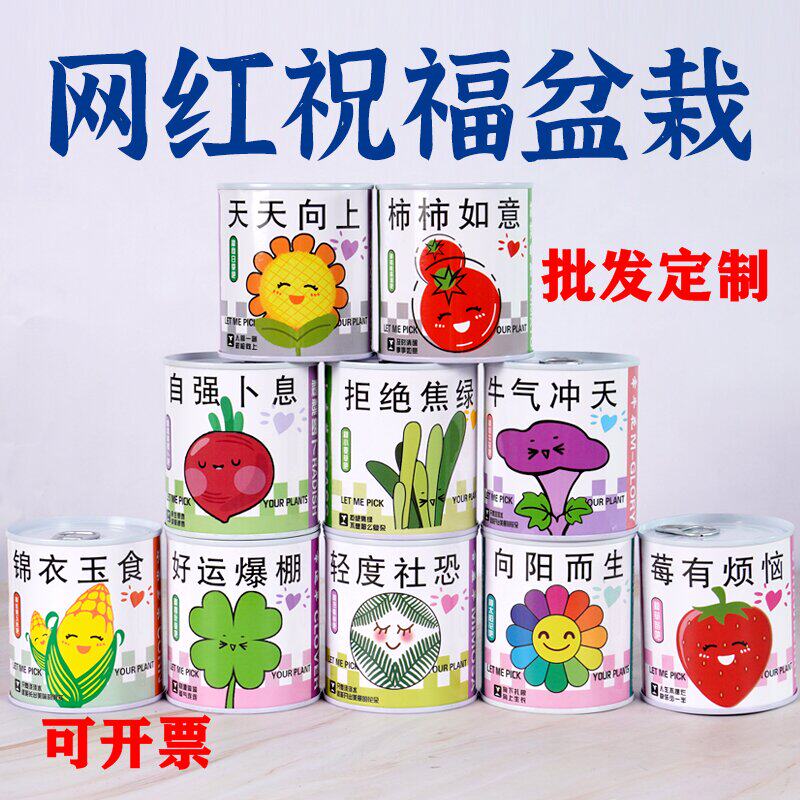 儿童种植易拉罐盆栽绿植盲盒幼儿情绪植物