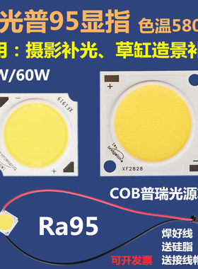 LEDCOB灯珠芯片灯片灯源Ra9590高显指全光普面光源摄影灯5800K60W