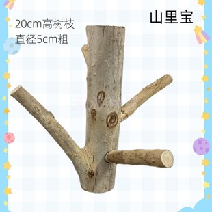 桉树叶蜜袋鼯蜜袋鼬磨牙除臭垫材用品桉树枝蜜袋龉飞鼠花枝鼠玩具