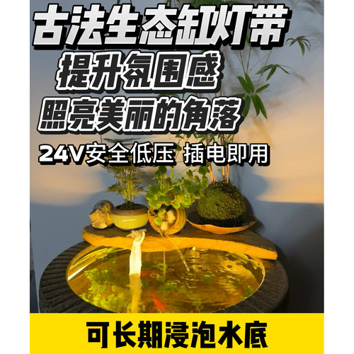 鱼缸专用LED灯带古法养鱼灯低压24V防水可浸泡氛围灯开关控制IP68