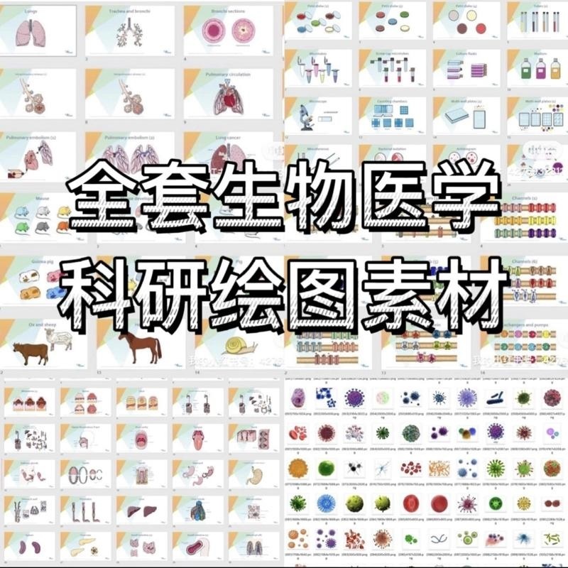ppt科研绘图素材全套生物医学可编辑插图细胞流程图通路图模型