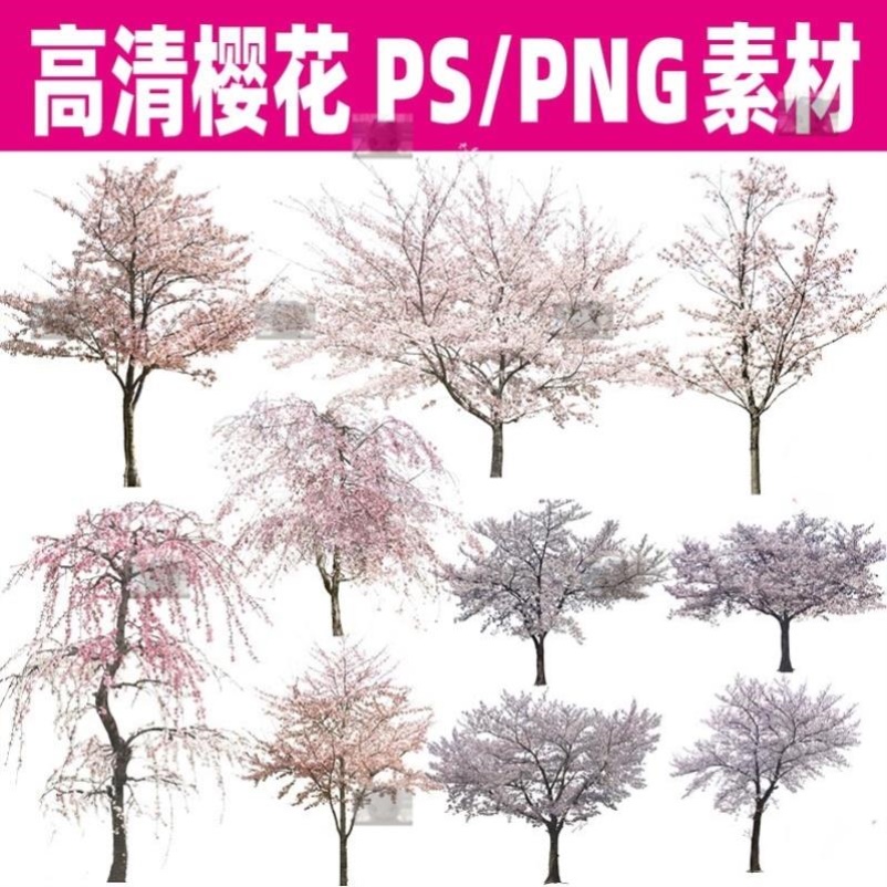 新ps高清樱花树立剖面效果图后期PNG免扣素材园林景观psd分层