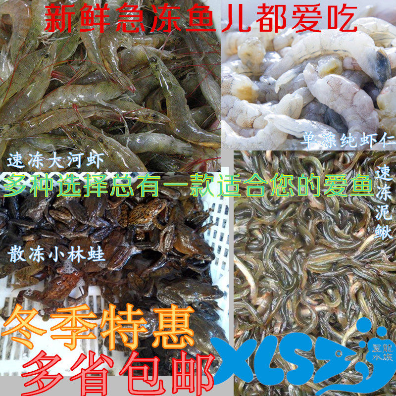 新鲜冷冻虾冻泥鳅热带鱼龙鱼罗汉饲料虾魟鱼观赏鱼食鳄龟活体饲料