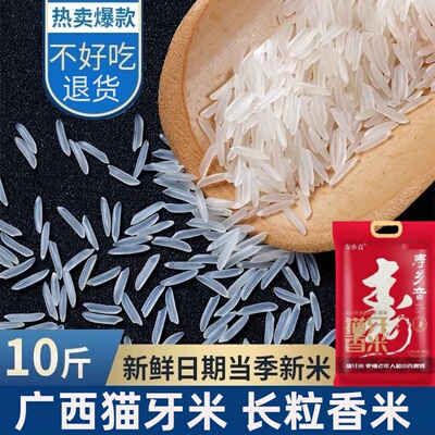 真空包装贺州猫牙丝苗米长粒香