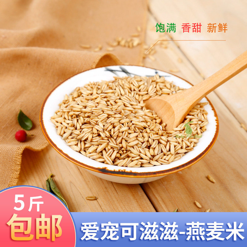 5斤包邮燕麦米鸟食野麦图片