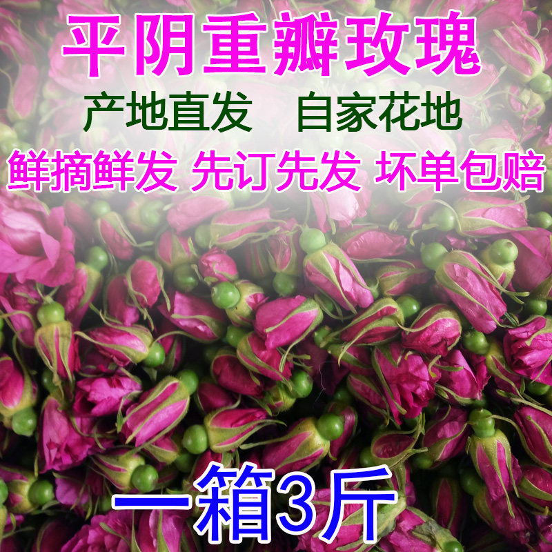 新鲜可食用级平阴重瓣红玫瑰鲜花图片