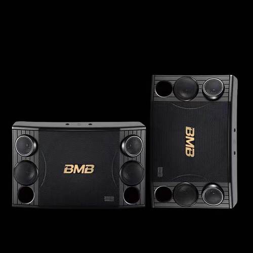 BMBCSD-8802/10寸KTV专