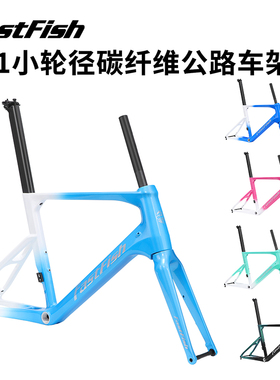 FASTFISH快鱼451小轮径全碳纤维公路车架桶轴碟刹20/22寸休闲车架