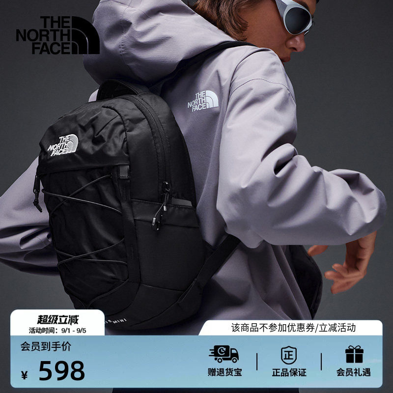 北面Borealis10L迷你双肩包图片