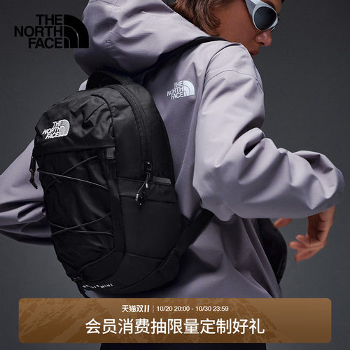 北面Borealis10L迷你双肩包