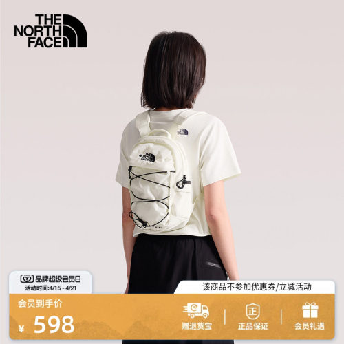 北面Borealis10L迷你双肩包