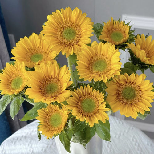 向日葵鲜花【1单包邮】自然装饰花浪漫教师节礼物