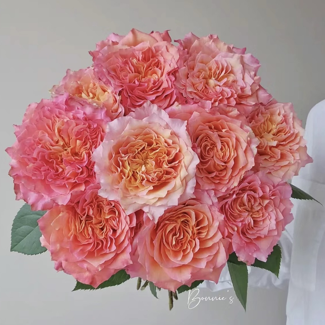 【花匠铺】火灵鸟20枝玫瑰（无土栽培）【1单包邮】鲜花
