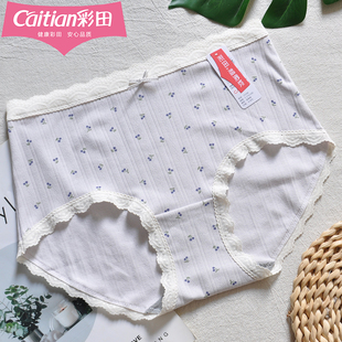 彩田少女中腰内裤 15398印花小碎花蕾丝花边10A抑菌石墨烯甜美透气