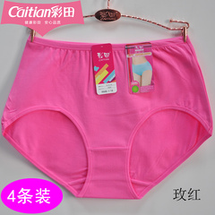彩田内裤女妈妈高腰三角裤大码棉质面料透气柔软裤头7005