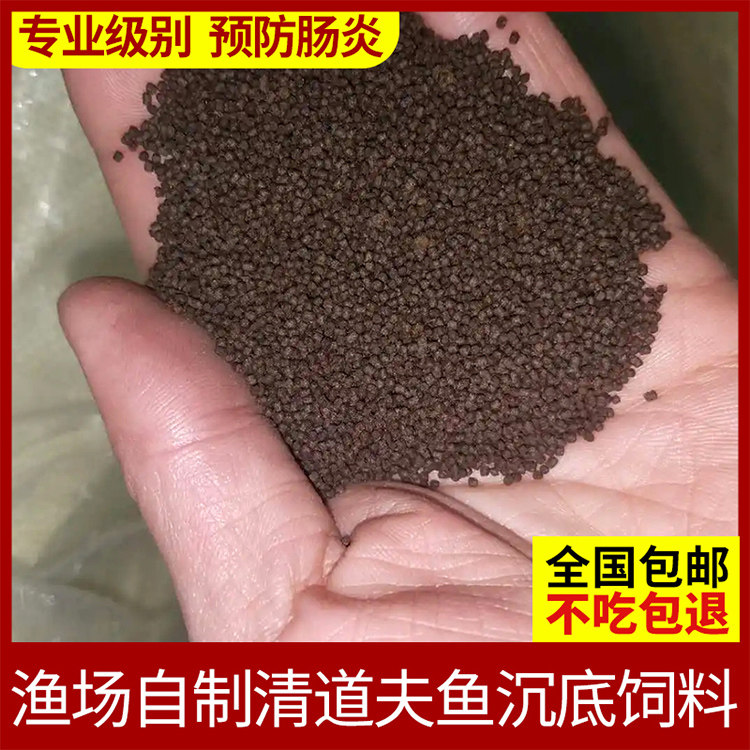 黄金红眼女王大帆渔场自制饲料