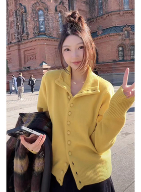 【CHASING LIGHT】冬日暖阳 吸睛小立领羊毛毛衣 100羊毛 M1145