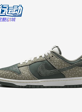 Nike/耐克正品 Dunk Low 男士复古低帮休闲板鞋HF4878-053