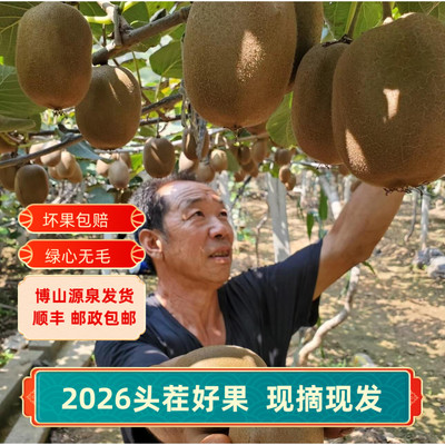 淄博特产博山猕猴桃果农直发现摘新鲜水果奇异果源泉猕猴桃猕猴桃